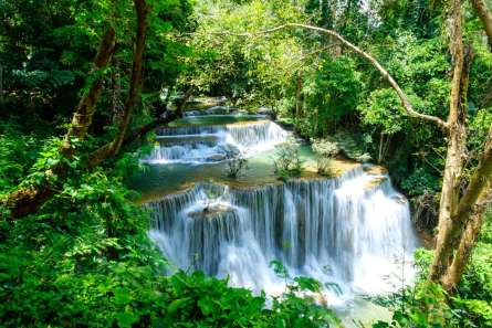 Фотошпалери водоспад серед зелених рослин Фотошпалери водоспад серед зелених рослин