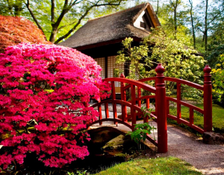 Фотообои Дом, цветы, мост 1435
