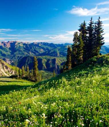 Фотошпалери Даль, гори