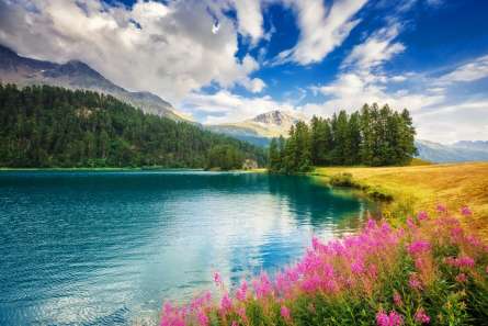 Фотошпалери берег гірської річки Фотошпалери берег гірської річки