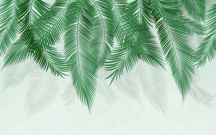Фотошпалери пухнасті пальмове листя на стіну Фотошпалери пухнасті пальмове листя на стіну