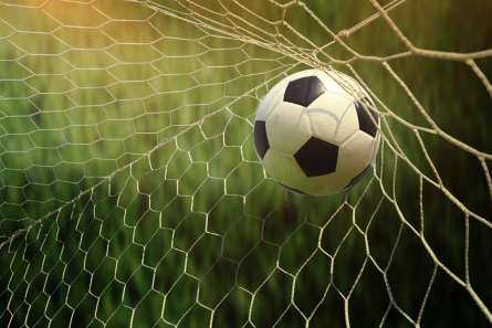 Фотошпалери м'яч у воротах Фотошпалери м'яч у воротах