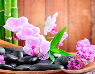 Фотошпалери Блідо-рожеві орхідеї 4582