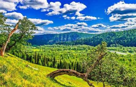 Фотообои зелено-голубая природа