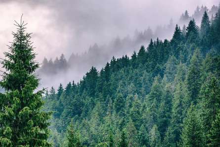 Фотообои Туманные горы Фотообои Туманные горы