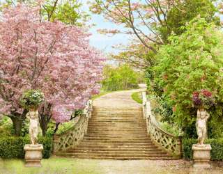 Фотошпалери Фреска 28089