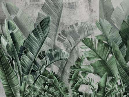 Фотошпалери зелені тропічні листя на тлі бетону. Фотошпалери зелені тропічні листя на тлі бетону.