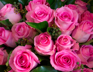 Фотошпалери Букет рожевих троянд 9948