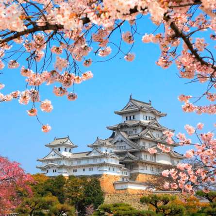 Фотошпалери Фотошпалери Японія Фотошпалери Фотошпалери Японія