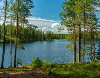 Фотообои Озеро в лесу 27556