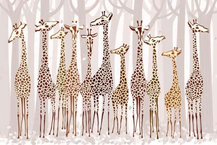 Фотошпалери Жирафи