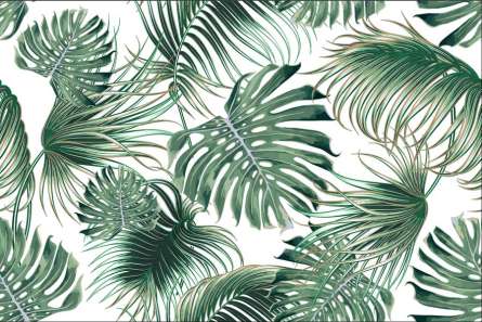 Фотошпалери мікс пальми і монстери Фотошпалери мікс пальми і монстери