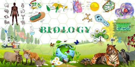 Фотошпалери Для кабінету біології