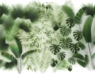 Фотошпалери Тропічні листя за склом 27571