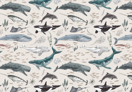 Фотообои Морские обители в детскую Фотообои Морские обители в детскую