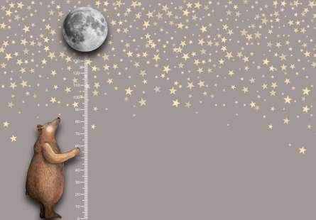 Фотообои Медведь ростометр