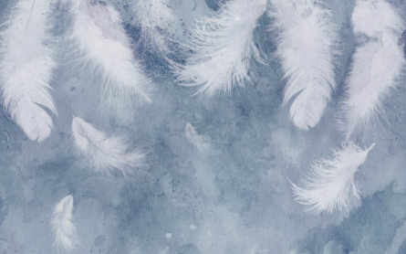 Фотообои Голубые воздушные перья