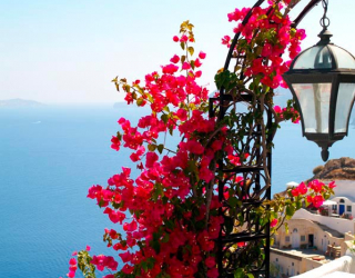 Фотообои Цветы на фонаре,  Греция 5063