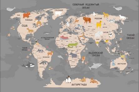 Фотошпалери сіра карта дитяча українською мовою