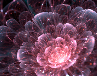 Фотообои Абстракционный цветок 18620