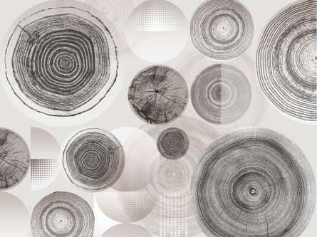 Фотошпалери стильні кола