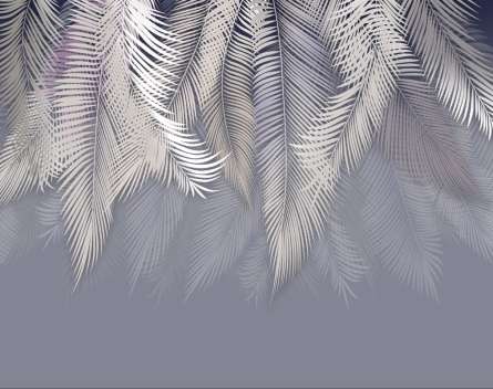 Фотошпалери пухнасті пальмове листя на стіну Фотошпалери пухнасті пальмове листя на стіну