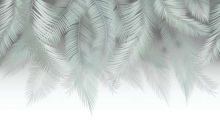 Фотошпалери листя в сірих відтінках Фотошпалери листя в сірих відтінках