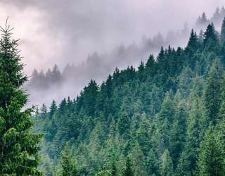 Фотообои Туманные горы 32467