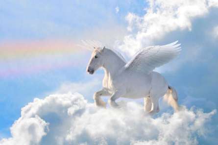 Фотошпалери Летючий пегас
