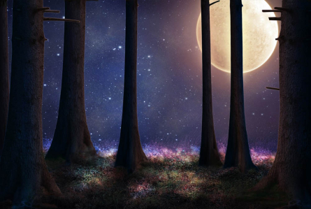 Фотообои луна в лесу