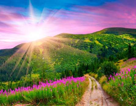 Фотообои Спуск, гора, зелень Фотообои Спуск, гора, зелень