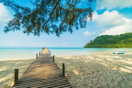 Фотообои Дорожка к морю