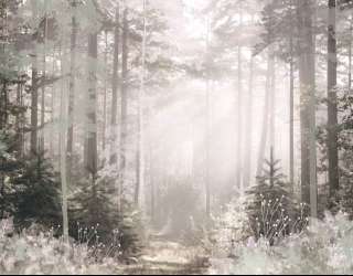 Фотообои Дизайнерские деревья 30832