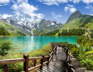 Фотообои Дорога к озеру 27736