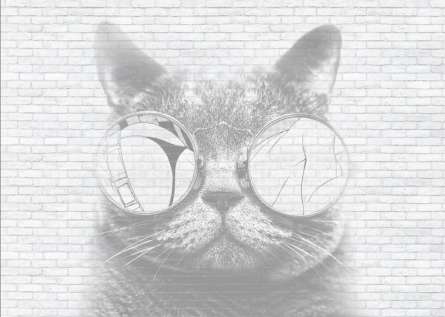 Фотошпалери Кіт в окулярах лофт Фотошпалери Кіт в окулярах лофт
