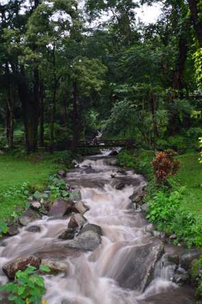 Фотошпалери сірий водоспадик на струмку Фотошпалери сірий водоспадик на струмку