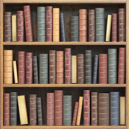 Фотошпалери Книжкові полиці Фотошпалери Книжкові полиці