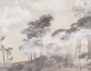 Фотообои Деревья в тумане 31856