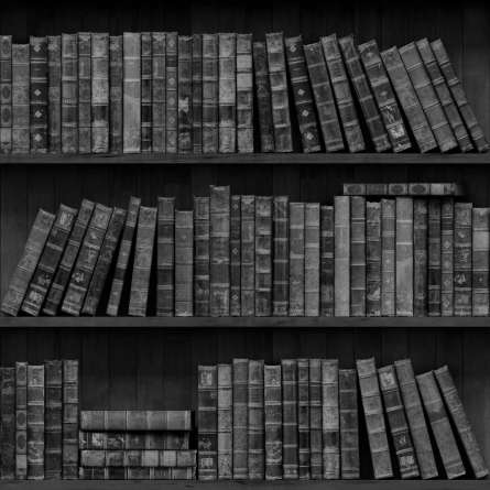 Фотообои книги на полке Фотообои книги на полке