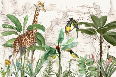 Фотообои Карта с жирафом