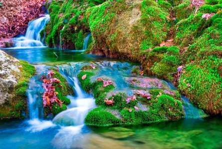 Фотошпалери Мох, вода Фотошпалери Мох, вода