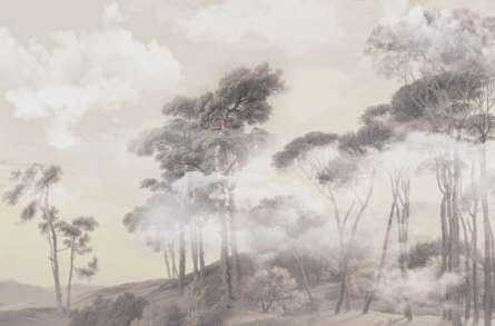 Фотообои Деревья в тумане