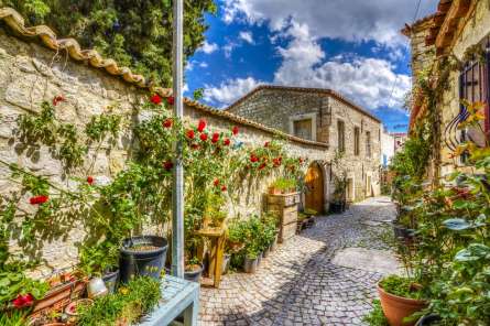 Фотообои переулок с розами