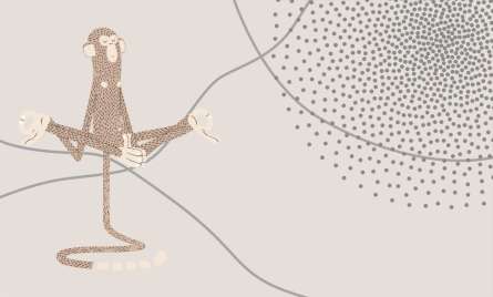 Фотообои обезьянка Фотообои обезьянка