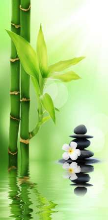 Фотообои бамбук в воде Фотообои бамбук в воде