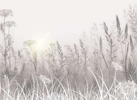 Фотообои Сухоцветы в постельных тонах Фотообои Сухоцветы в постельных тонах