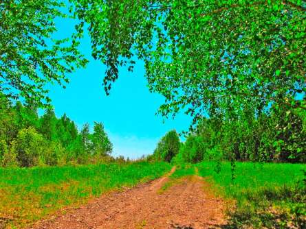 Фотообои Зеленый простор Фотообои Зеленый простор