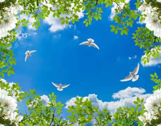 Фотошпалери Голуби у весняному небі 25725