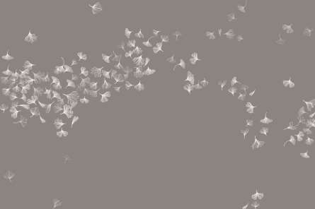 Фотообои Летящие листики