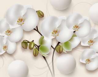 Фотошпалери Орхідея 3д 22232